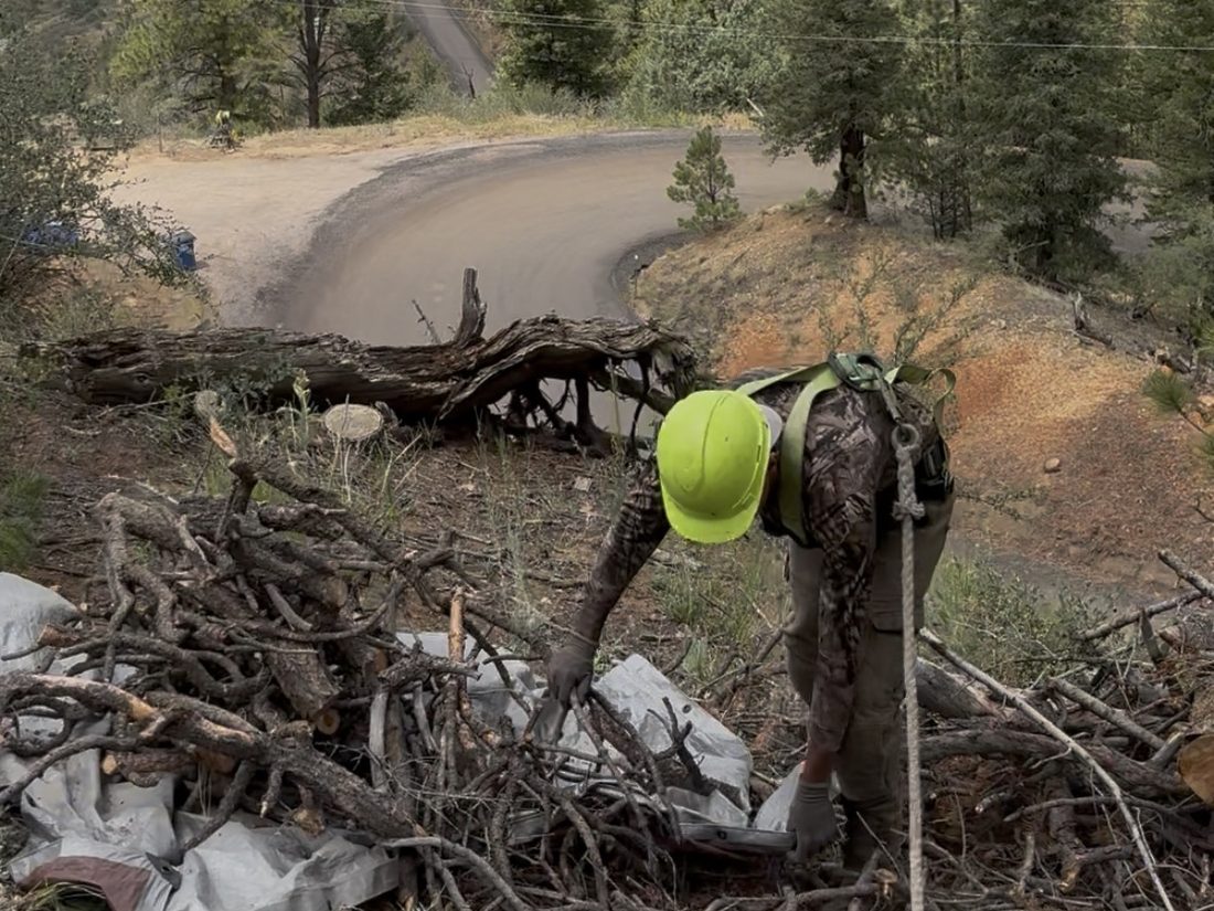 Red Wood Solutions crew clearing a brush and slash pile on a Colorado hillside